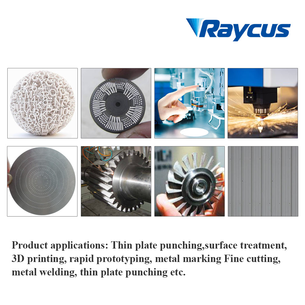 Raycus Fiber Laser Source