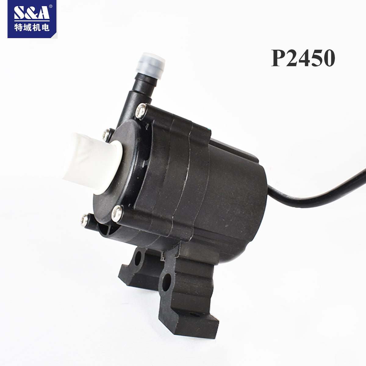 P2450 Water pump